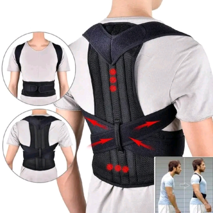Royal Back Support